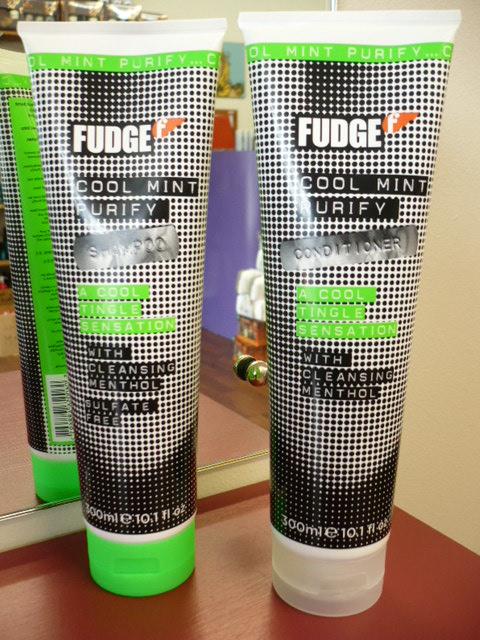FUDGE COOL MINT PURIFY 300ml SHAMPOO AND CONDITIONER DUO