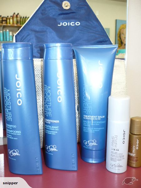 Joico Moisture Recovery Pack six piece pack (value $120) - Great for curly hair